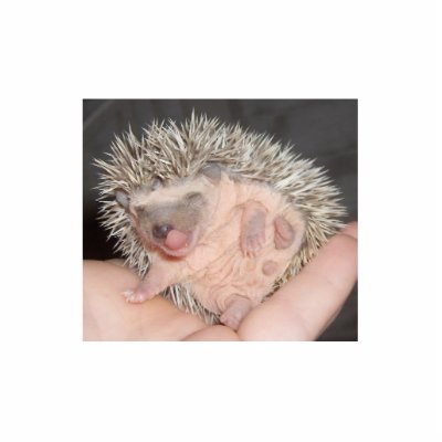 Baby Hedgehog Sculpture Cut Out by amjon1