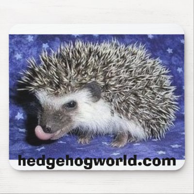 baby hedgehog tongue mousepad by hedgehogworld
