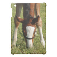 Baby Horse Foal grazing in pasture Cover For The iPad Mini