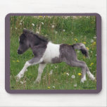 Baby Horse Mousepad