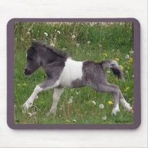 Baby Horse Mousepad