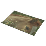 Baby Horse Placemat