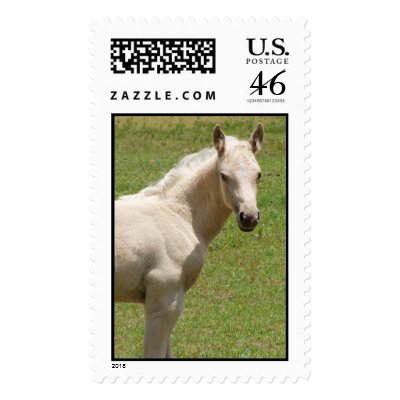 baby horse postage stamp by iiiyaaa
