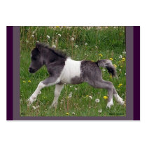 Baby Horse Profile Card business cards
