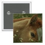 Baby Horse Square Pin