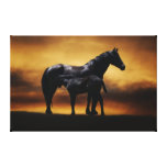 Baby horse suckling from his mom canvas print