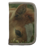 Baby Horse Wallet Folio Folio Planners