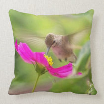 Baby Hummingbird & Daisy American MoJo Pillow pillows