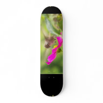 Baby Hummingbird Skateboard