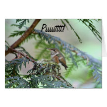 Baby Hummingbird Sticking Out Its Tongue Card