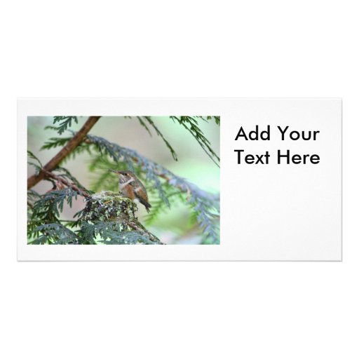 Baby Hummingbird Sticking Out Its Tongue Personalized Photo Card