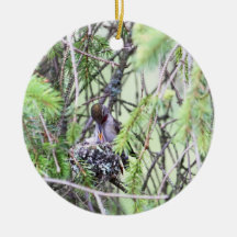 Baby Hummingbirds in a Nest Christmas Tree Ornament