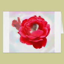 Baby in a Rose cards
