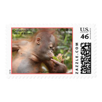 Baby in Borneo Postage Stamps