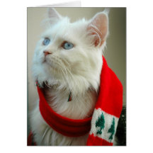 Baby, it's cold outside greeting card