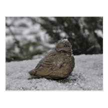Baby, it's cold outside postcard