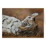 Baby jaguar card