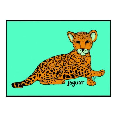 Baby Jaguar Print by baby jaguar animal pictures. Baby Jaguar Print by