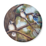 Baby Jays Magnet