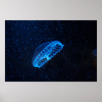 baby jelly fish print