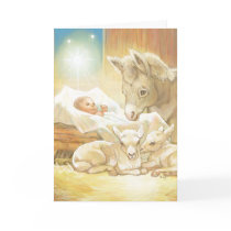 Baby Jesus Nativity with Lambs and Donkey Cards