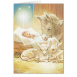 Baby Jesus Nativity with Lambs and Donkey Cards