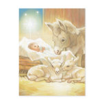Baby Jesus Nativity with Lambs and Donkey postcards