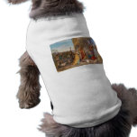 Baby Jesus of Nazareth Born in Bethlehem Pet Clothing
