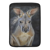 Baby Joey Red Kangaroo Close-Up Macbook Air Sleeves