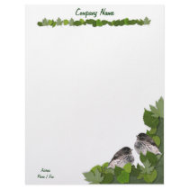 Baby Junco's Letterhead