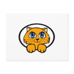 Baby Kitten Cartoon Postcards