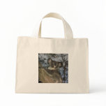 Baby Koala Tote Bags