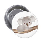 koala, koalas, bear, bears, teddy, marsupials, animals, wildlife, jungle