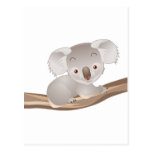 koala, koalas, bear, bears, teddy, marsupials, animals, wildlife, jungle