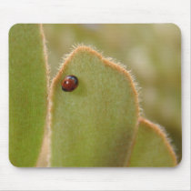 Baby Ladybug on Cardboard Palm mousepads by GrumpyKittenGraphics Baby Ladybug on Cardboard Palm mousepads
