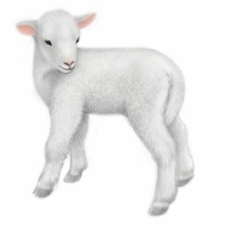 Baby Lamb Holiday Ornament photosculpture