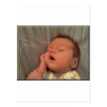 baby leon post cards