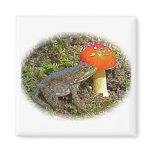 Baby Leopard Frog Fridge Magnet