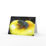 Baby Leopard Frog on Toadstool Greeting Card