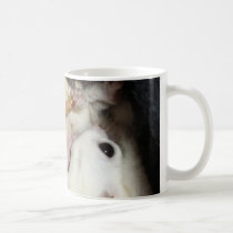 Baby Leu family mugs