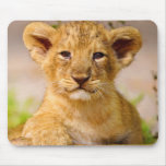 Baby Lion Cub Mouse Pads