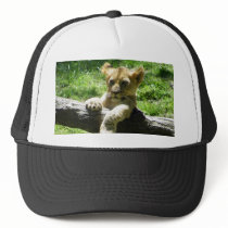 Baby Lion Cub On Branch Trucker Hat