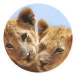 Baby lion love round sticker
