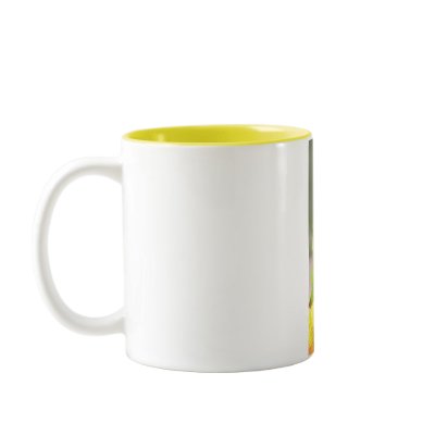 Baby lorikeets mug by Clareville