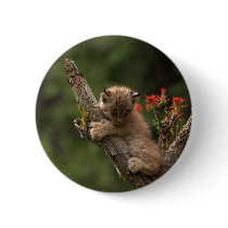 Baby Lynx Climbing Pin