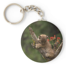 Baby Lynx Climbing Keychains