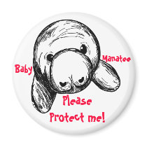 Baby Manatee! Fridge Magnets