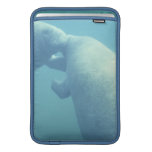 Baby Manatees 11" MacBook Sleeve
