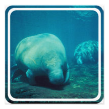 Baby Manatees Invitation