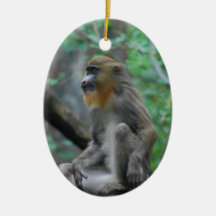 Baby Mandrill Ornament